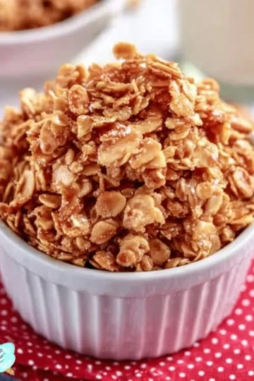 A bowl of homemade granola with nuts and dried fruits